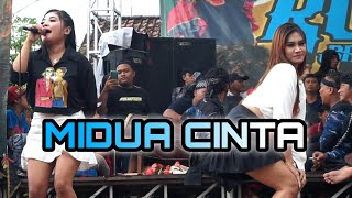 MIDUA CINTA || all artis Jaranan Rogo Samboyo Putro Live Meduran Ringinpitu Plemahan