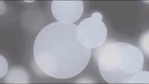White Bokeh light leak particles Animation Background Video,No Copyright || Stock Footage