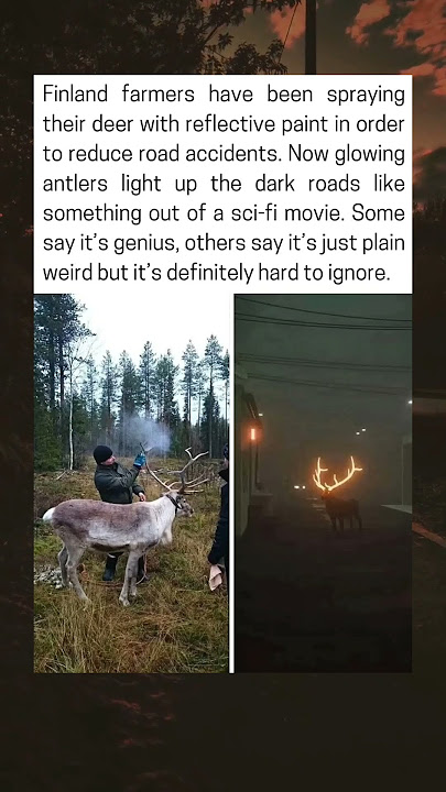 weird but it's definitely hard to ignore.
