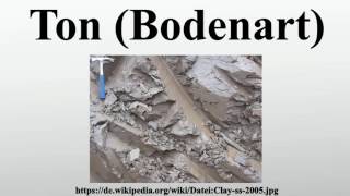 Ton Bodenart