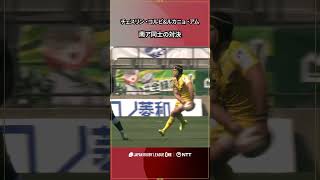 ラグビーワールドカップフランス大会南アフリカ代表選手同士のスピード対決!相模原DB ルカニョ・アム選手vs東京SG チェスリン・コルビ選手🇿🇦🆚🇿🇦#NTTリーグワン #リーグワン