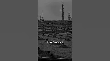 اكتب شيئاً تؤجر عليه ✨🤍 القرآن الكريم تلاوة خاشعة ماهر المعيقلي