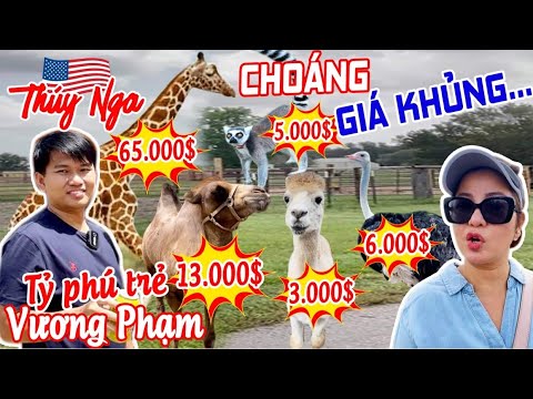 Thuý Nga choáng với những thú cưng giá khủng của gia đình Vương Phạm.