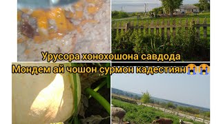 оши  палов дар алов таер кардам//хамсояхои мо гаданвкусняшки зани пурхунар