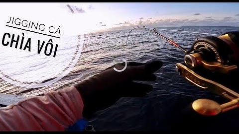 Alo Fishing |JIGGING CÁ CHÌA VÔI Ở PHÚ YÊN | Chuyến câu cá Phú Yên tháng 7-2022 | Slow jigging