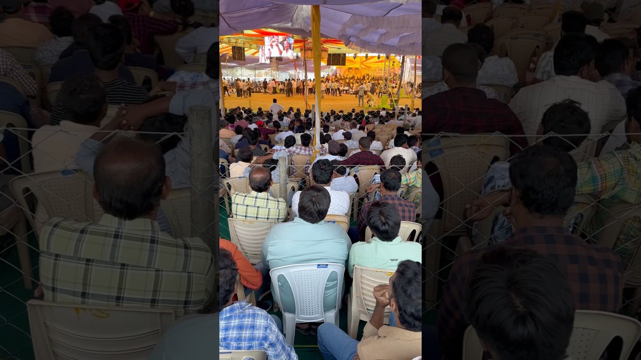 Bhimavaram Kodi Pandalu 