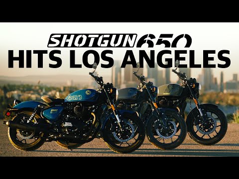 Shotgun 650 -
