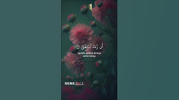 🇳🇪🄼🄰🅂🄷🄰 🄰🄻🄻🄰🄷🌹القرآن الكريم🌹 #اكسبلور #duet #嗡嗡嗡 #دويتو #الرحمن #المصحف #colonelkkjϟ #راحة_نفسية