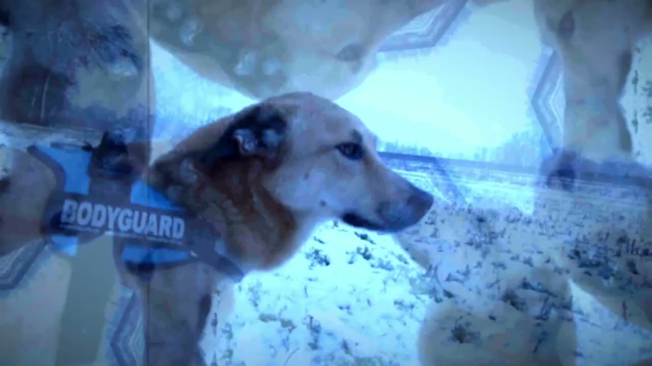 NEMA ~ AMEN ~ 28.3.2010 (Austrian Acid Archives) (FEVER DREAM) (9DMA) (ADHF)