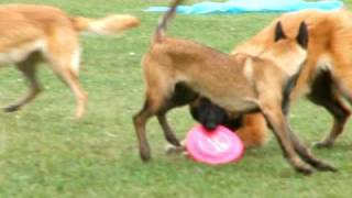 200502 422.avi