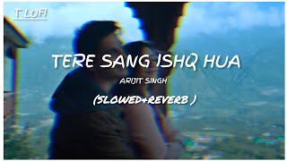 Tere Sang Ishq Hua (Slowed + Reverb) | Arijit Singh, Neeti Mohan | Yodha | @Tlofi06