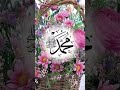 Kia Muhammed ka Piyara nahi hon......
