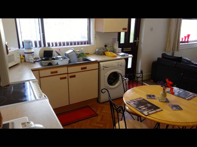 Video 1: Main view