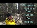 Прогулки в карантин в лесу, озеро Чусовое. Лес, природа, свежий воздух.