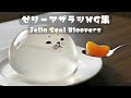 【NG集】ゼリーアザラシのかわいくて笑えるハプニング集