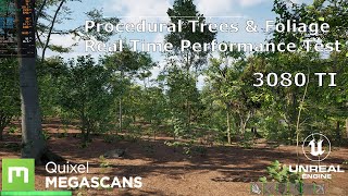 UE5 - Procedural Megascans Trees and Foliage - Real Time Performance Test