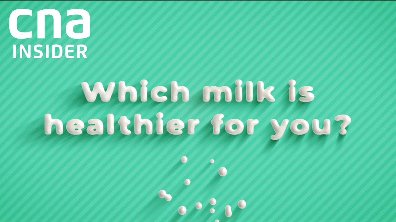 Which Milk (Or Mylk) Is Healthier For You? | Ahead Of Their Time 2