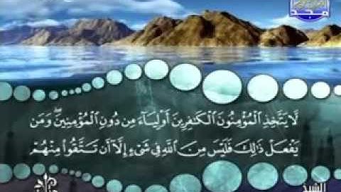 سورة آل عمران الآية 28