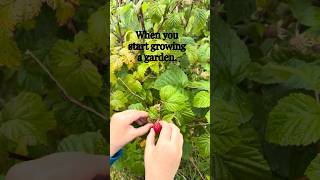 👩🏽🌾 The first raspberry of the year, picked by the smallest hands. 🍓