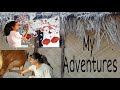 cow milking by hand| village routine| wall stickers on wall| wall decor |my Adventures