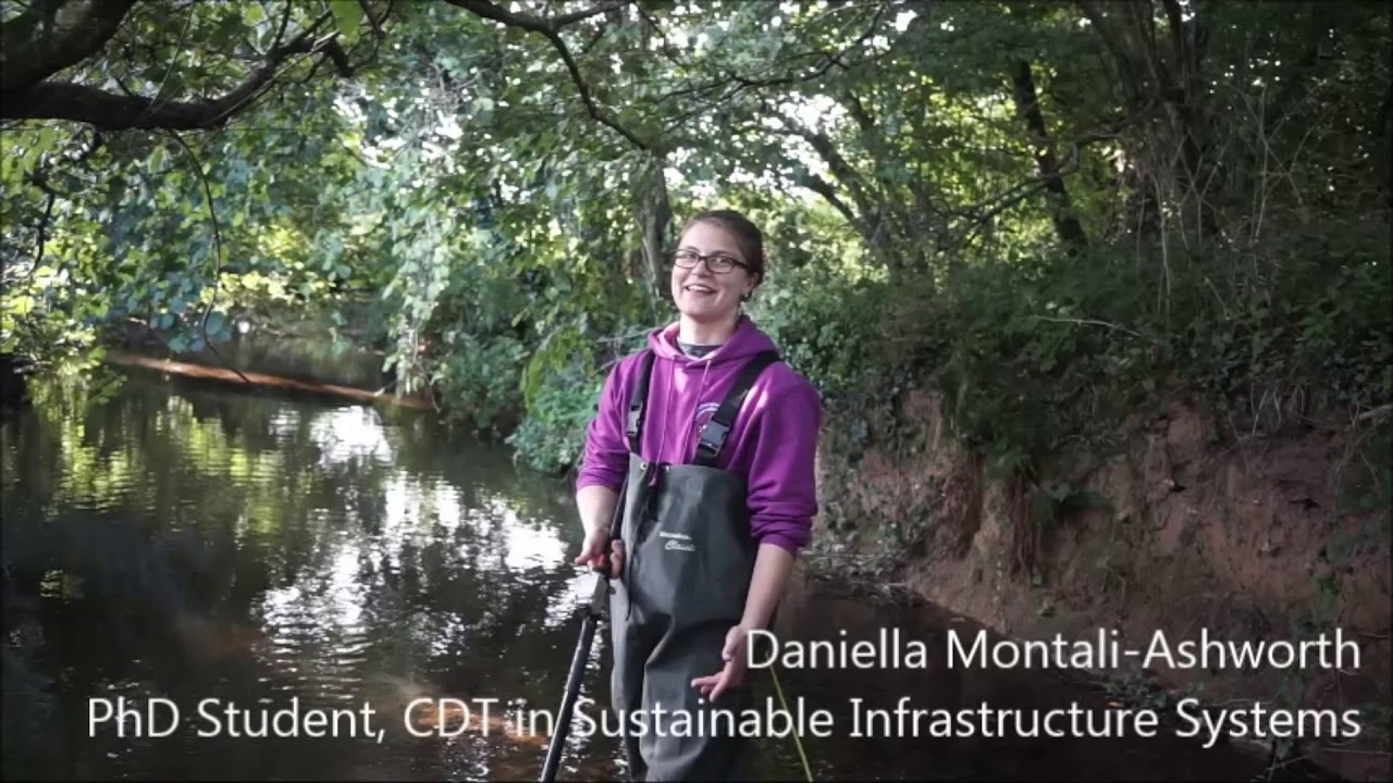 Reintroduction of the European or Eurasian Beaver to the UK