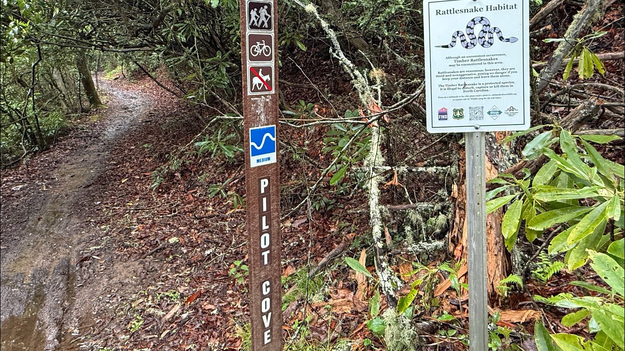Hiking Pilot Cove Loop-Pisgah Ranger District,NC.