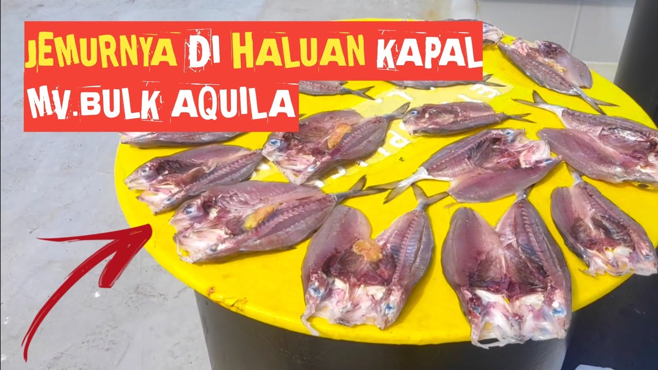 MEMBUAT IKAN ASIN DI KAPAL MV.BULK AQUILA