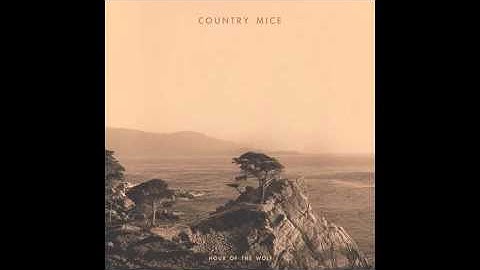 Country Mice - Feathers