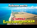 БЛАГОВЕЩЕНСКАЯ- РАЙСКОЕ МЕСТО БЕЗ ЛЮДЕЙ В ПИК СЕЗОНА! ЧТО ТУТ СЕГОДНЯ? ГДЕ ОТДОХНУТЬ? КУДА СХОДИТЬ?