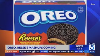 Reeses, Oreo To Launch New Products In Sweet Collaboration