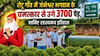 रोटू गाँव में जंभेश्वर भगवान के चमत्कार से उगे 3700 पेड़, जानिए रहस्यमय इतिहास | rotoo | bishnoi  