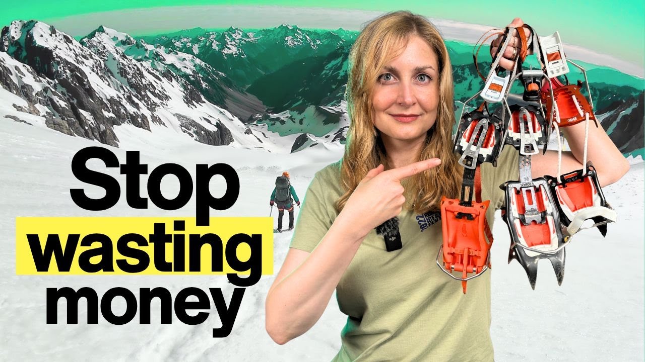 Лучшие кошки 2026 года: простая система, которая действительно работает