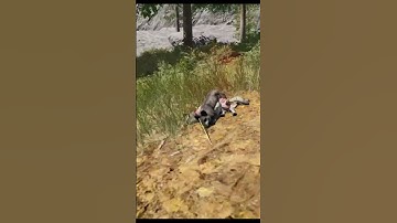 #shorts  ICARUS I One Shoot