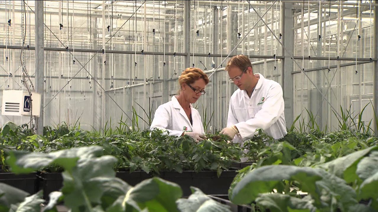 Joordens Zaden Kessel, The Netherlands