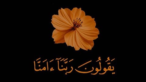 قران كريم | سورة المؤمنون | القارئ سمير عزت | تلاوة خاشعة😌❤️ | حالات واتس اب قران