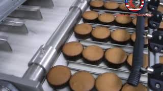 Food grade cake conveyer counting sorting feeding system for cakes