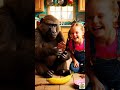 Funny Monkey Steals Chocolate 🍫🐵 | Kids Reel |