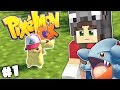 GRANDE RITORNO E TROVO IL PIKACHU CON IL CAPPELLO! - Pixelmon GX #1