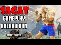 Sagat Is More Brutal And Vicious Than Ever Street Fighter 6 Gameplay Trailer Breakdown Sagat Is More Brutal And Vicious Than Ever Street Fighter 6 Gameplay Trailer Breakdown