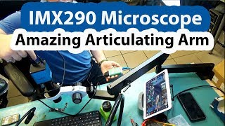 Amazing Eakins IMX290 microscope setup and Amscope articulating arm stand