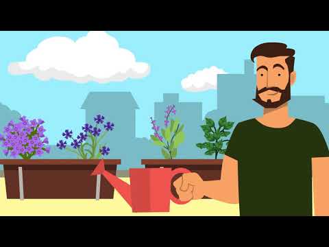 Video: Helferinsekten