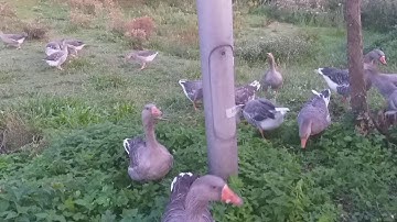 August 23, 2019 - AMSTERDAM