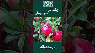 Aik Anaar So Beemar | Benefits of Pomegranate