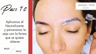 Especial tinte de cejas: paso a paso (tutorial) – Thuya Professional