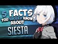 Siesta Facts // THE DETECTIVE IS ALREADY DEAD