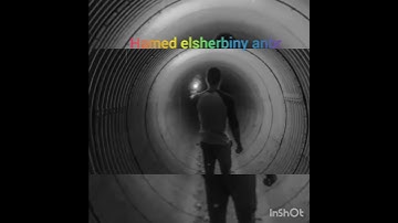 أفضل الأصوات فى القرآن الكريم حلات وتس