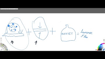 Laminar Flow Video Project - Alejandro Kuperschmit