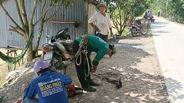 Cưa cây bạch đàn gặp trời gió.Cưa cây kỹ thuật cao