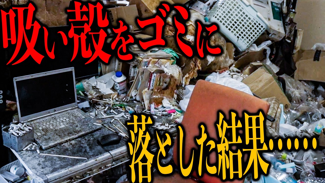 【危険な現場】足の踏み場もない部屋を片付けていたら…｜ゴミ屋敷・清掃