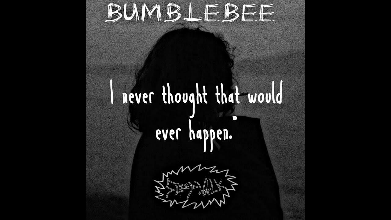 Bumblebee Sleepwalk (Lyrics) YouTube
